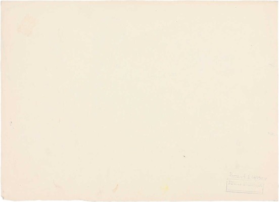 Ротач Александр Лукич. Вид на Райскую башню Выборгского замка